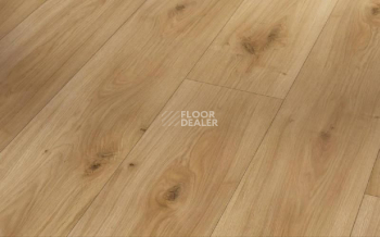 Ламинат Parador Basic Plus 400 1593813 Дуб Горизонт фото 1 | FLOORDEALER